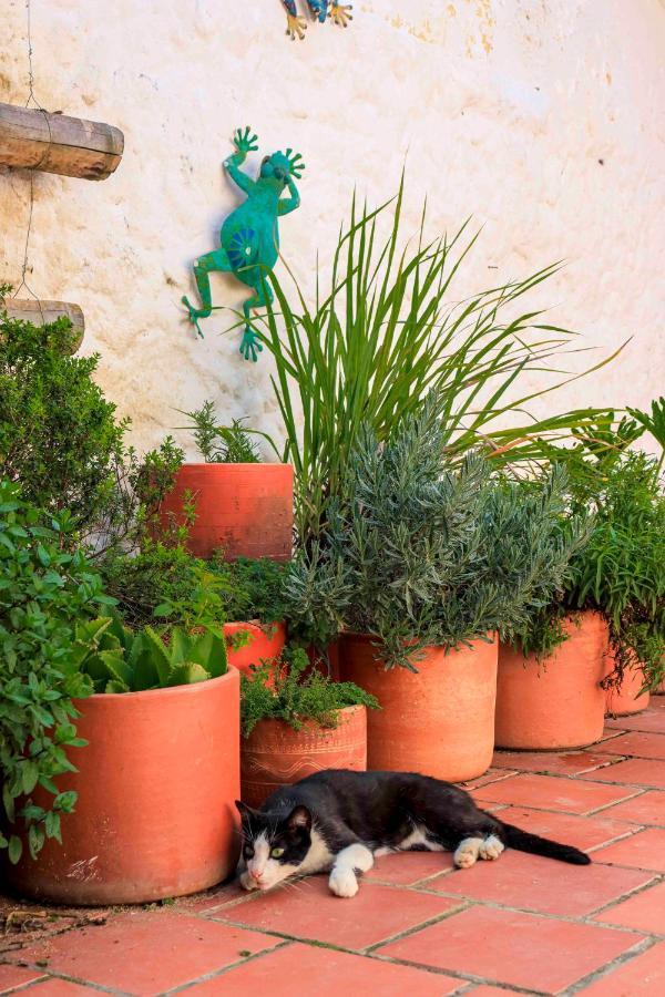 Hostel La Hacienda San Gil Exteriér fotografie